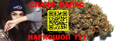 гашик Дубна