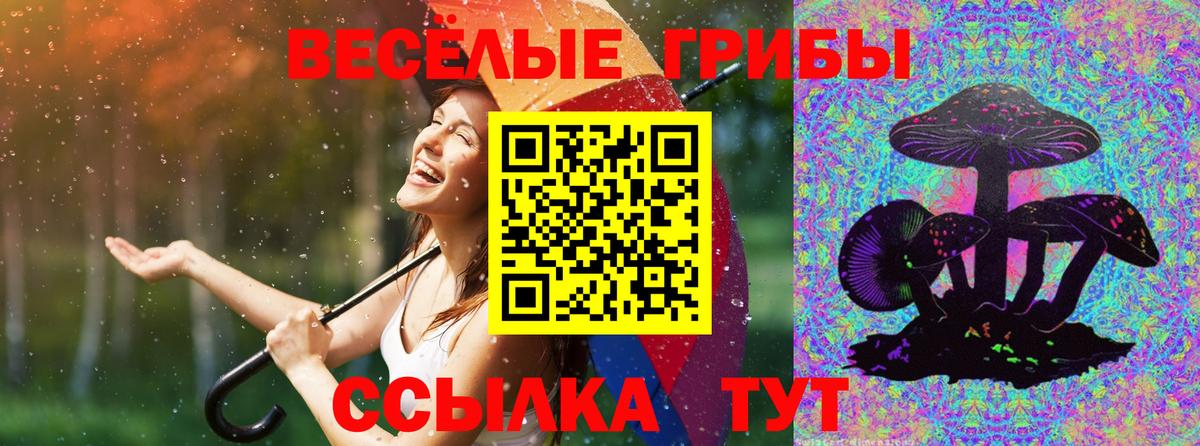 Псилоцибиновые грибы прущие грибы Муравленко